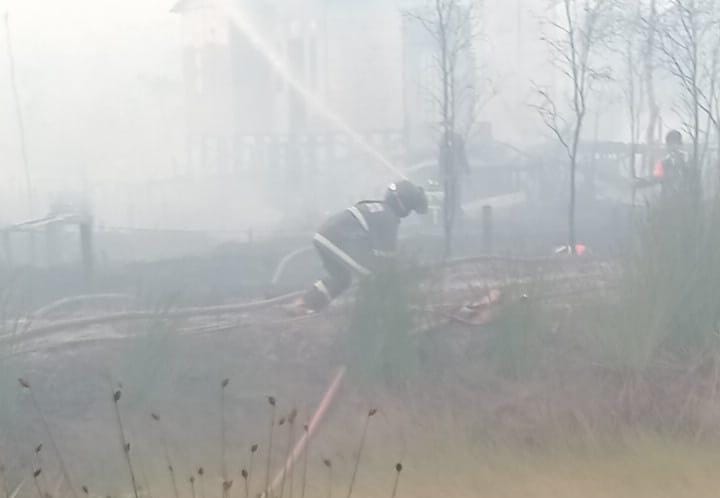 Karena Karhutla Rumah Lansia di Gambut Jadi Arang 1 WhatsApp Image 2023 10 02 at 10.18.21