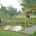 img-20250212-wa01072422218438610556833