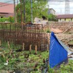 img-20251105-wa01244337471141156884918