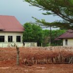 img-20251105-wa01274617733175201309757