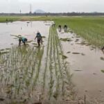 e0b4e8dd-2775-4f87-a15f-78a8be090f6d