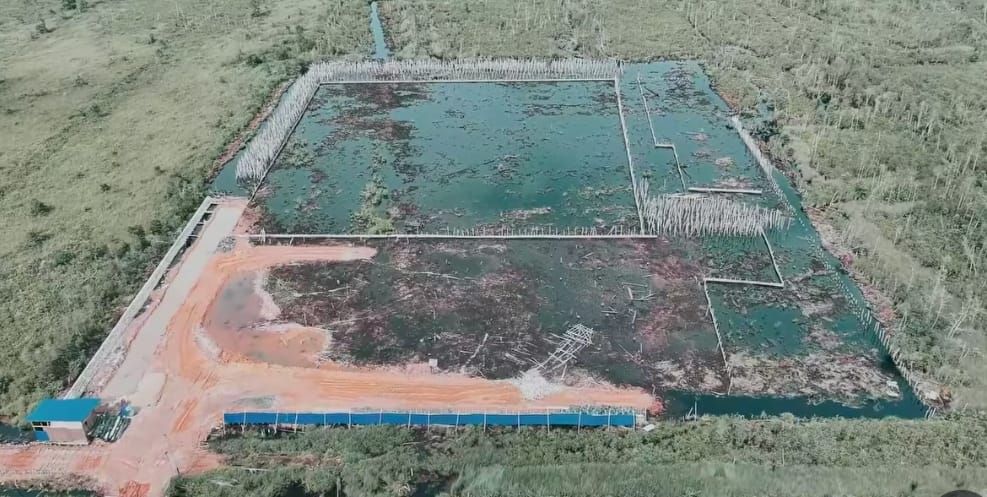 img 20260209 wa00201201909365047160272