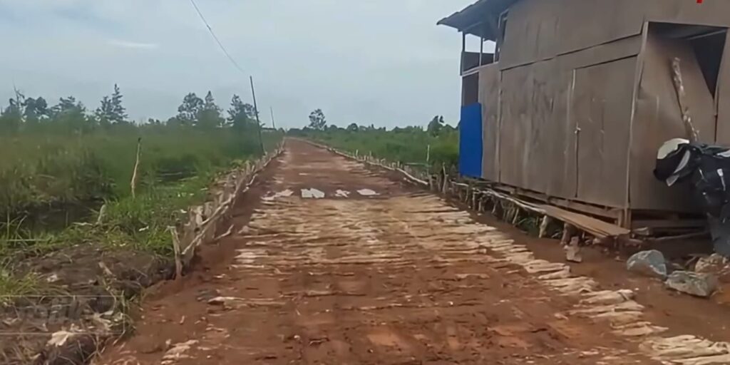 img 20260218 wa00171926620906849033022